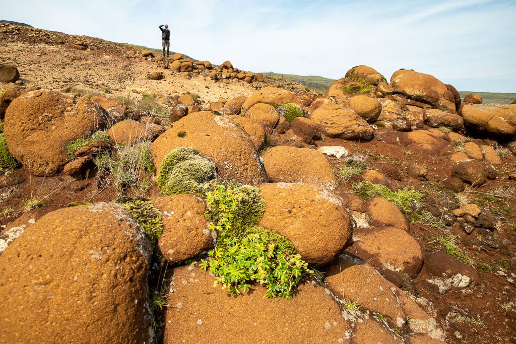 Pentax K-1 / 29 Pentax K-1   29