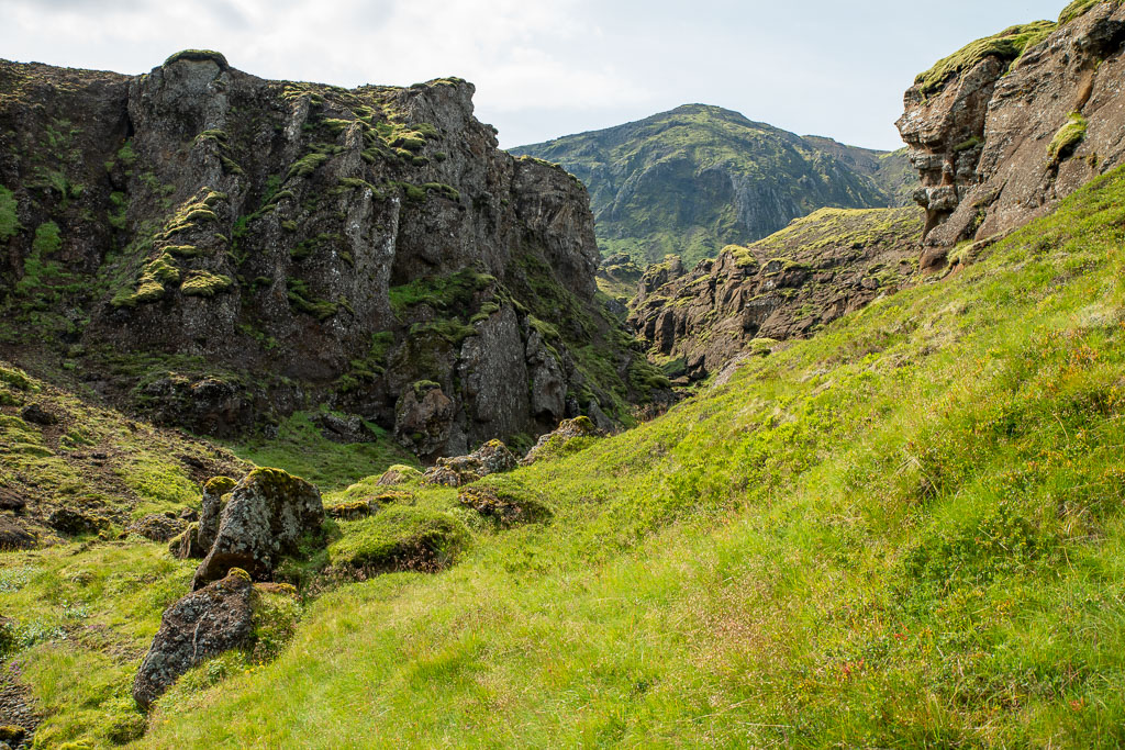 Pentax K-1 / 29 Pentax K-1   29