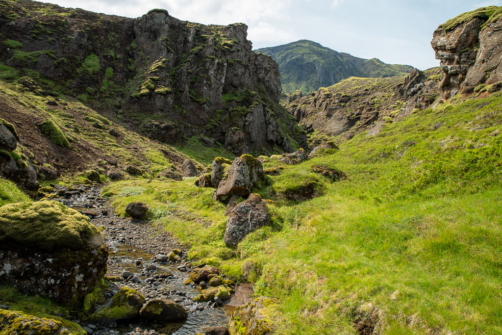 Pentax K-1 / 29 Pentax K-1   29
