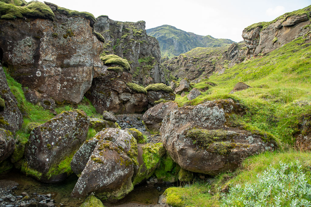 Pentax K-1 / 29 Pentax K-1   29