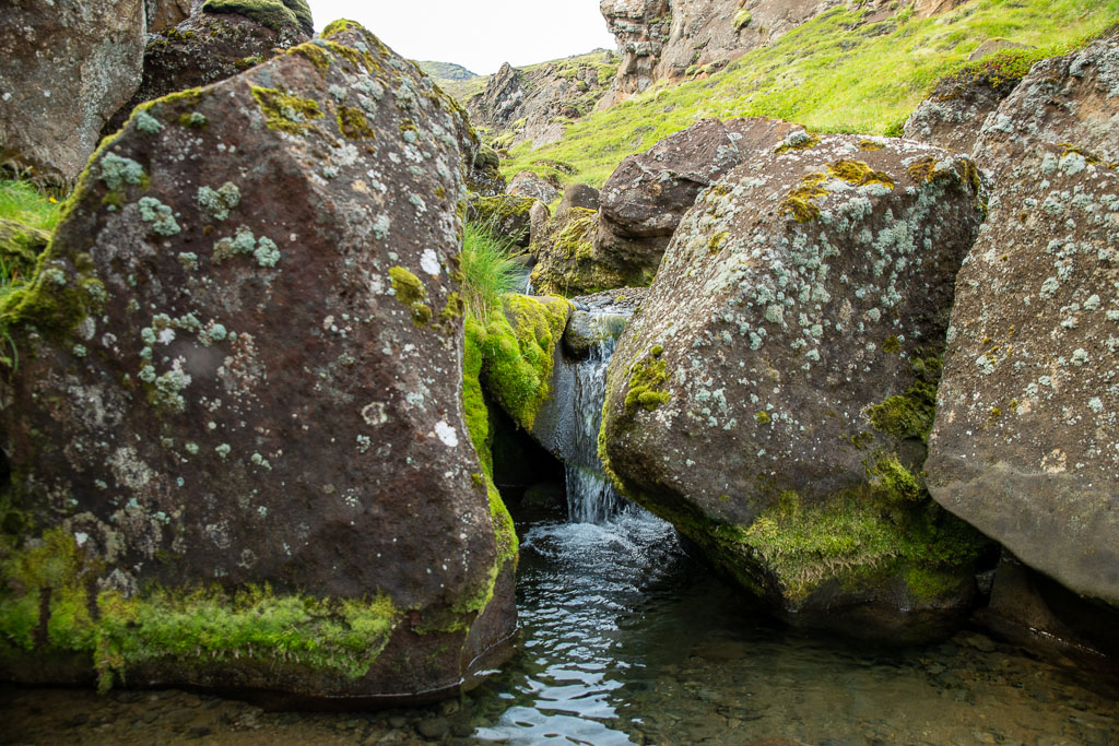 Pentax K-1 / 29 Pentax K-1   29