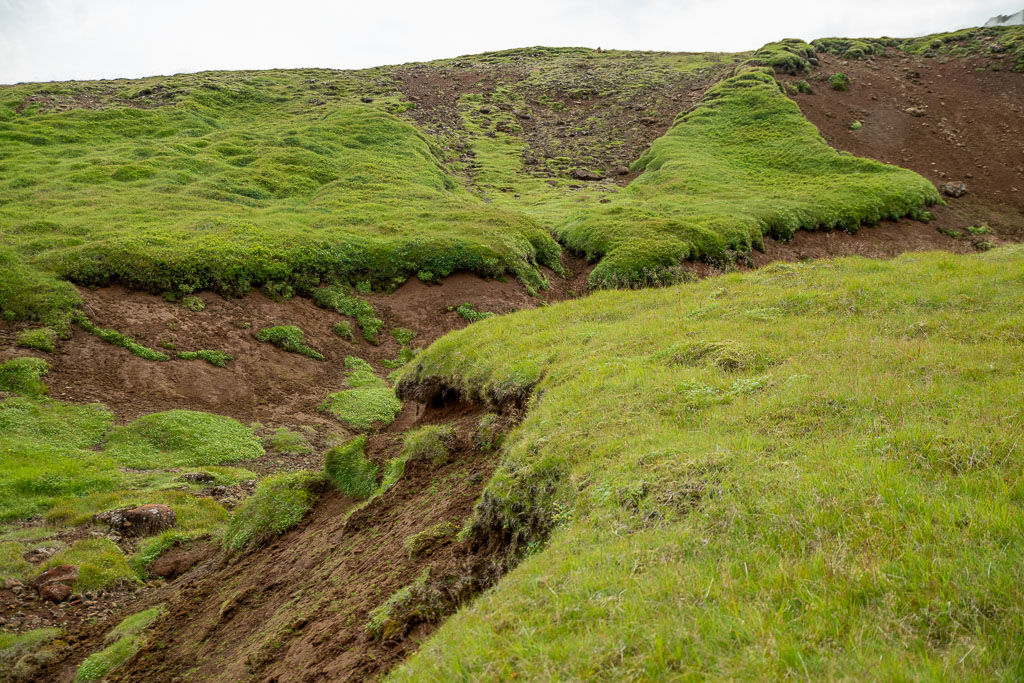 Pentax K-1 / 29 Pentax K-1   29