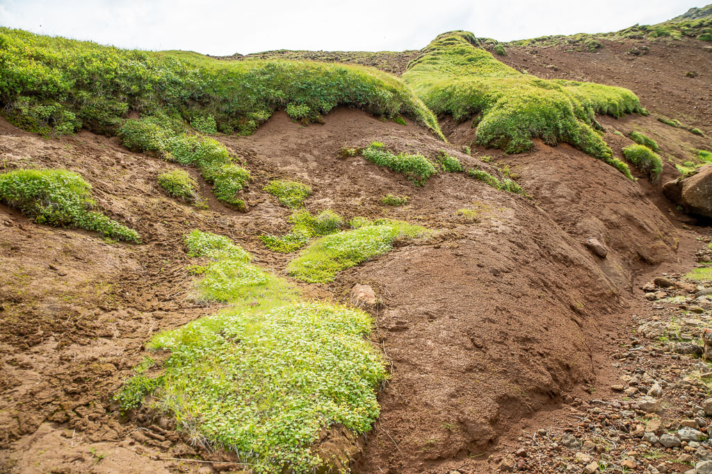 Pentax K-1 / 29 Pentax K-1   29