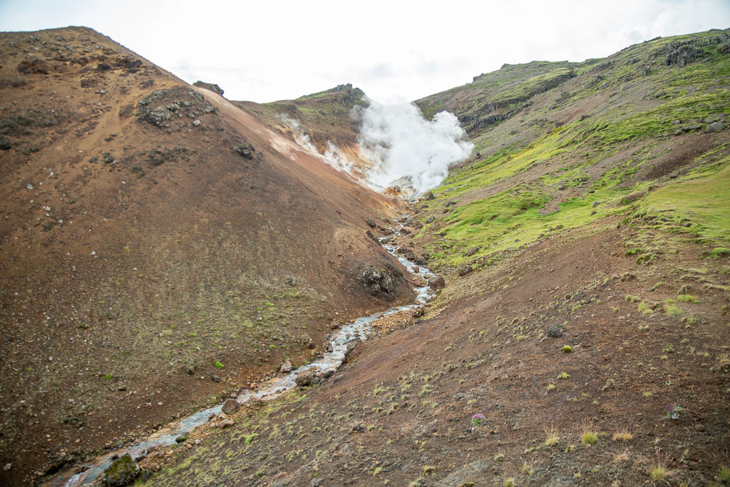 Pentax K-1 / 29 Pentax K-1   29