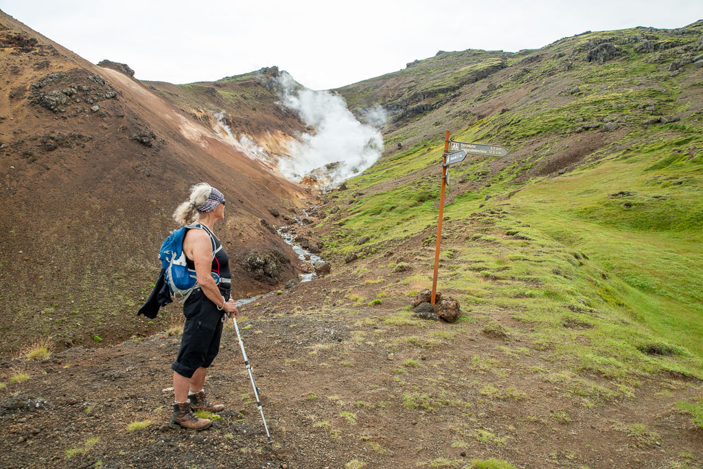 Pentax K-1 / 29 Pentax K-1   29