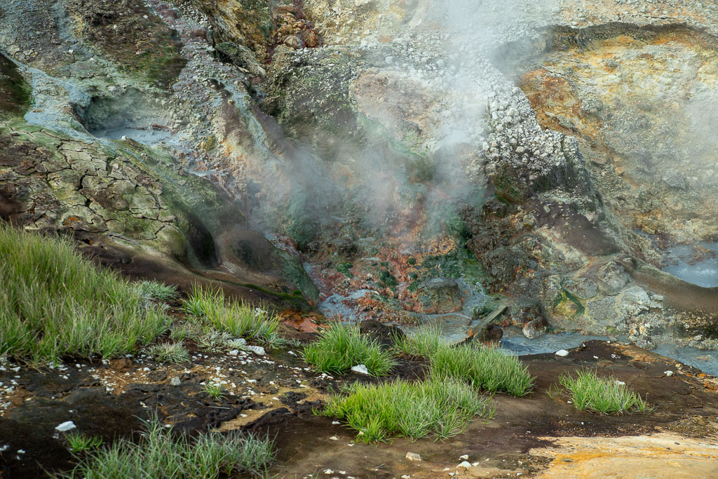 Pentax K-1 / 29 Pentax K-1   29