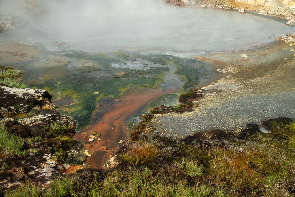Pentax K-1 / 29 Pentax K-1   29