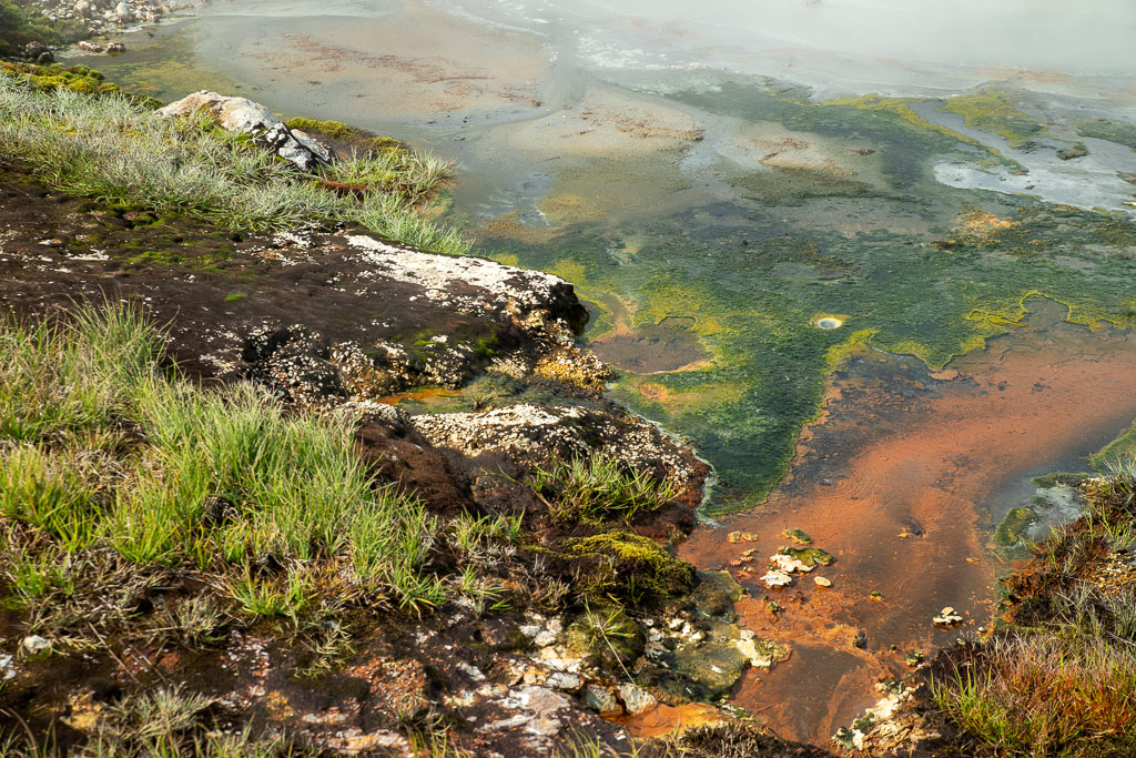 Pentax K-1 / 29 Pentax K-1   29