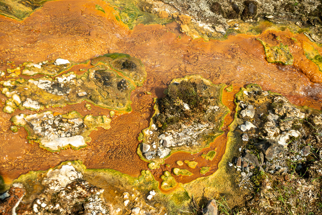 Pentax K-1 / 29 Pentax K-1   29