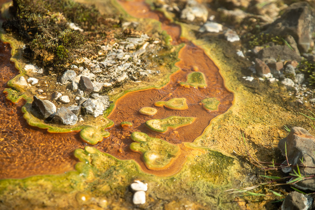 Pentax K-1 / 29 Pentax K-1   29