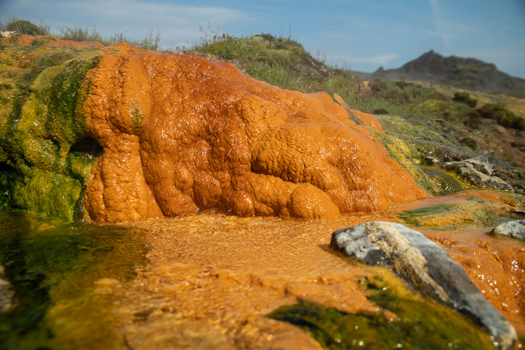 Pentax K-1 / 29 Pentax K-1   29