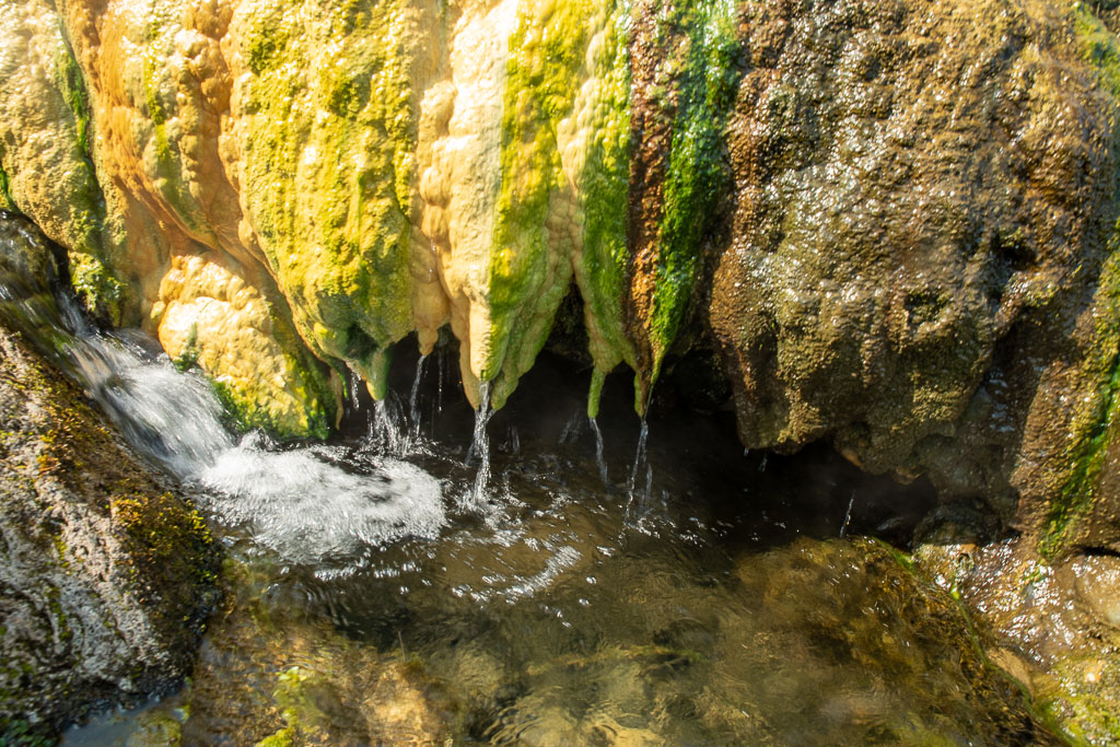Pentax K-1 / 29 Pentax K-1   29