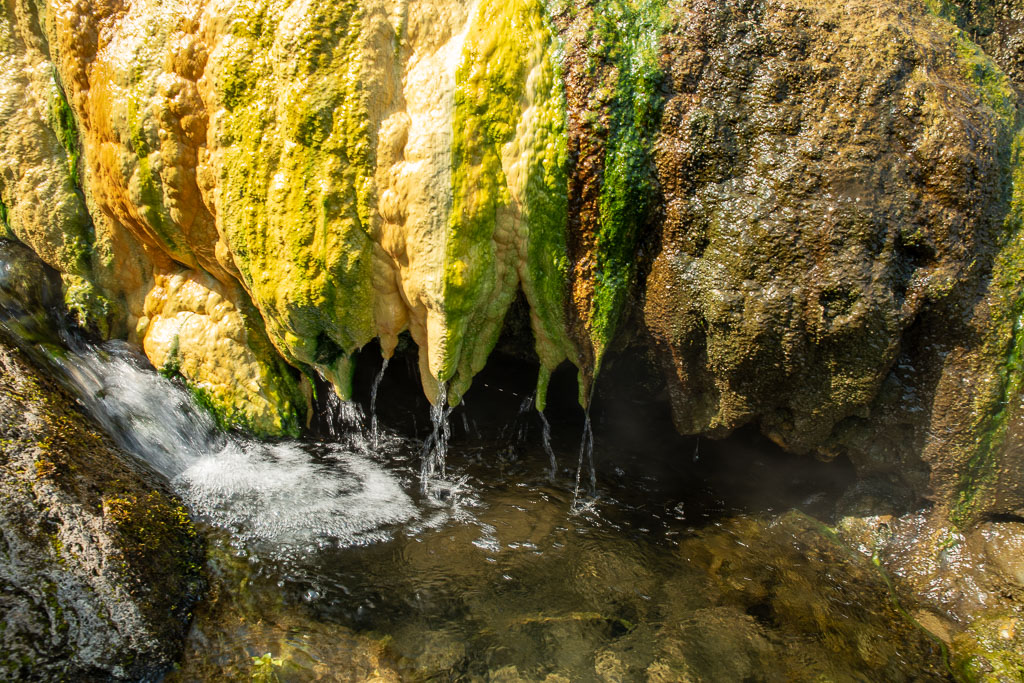Pentax K-1 / 29 Pentax K-1   29