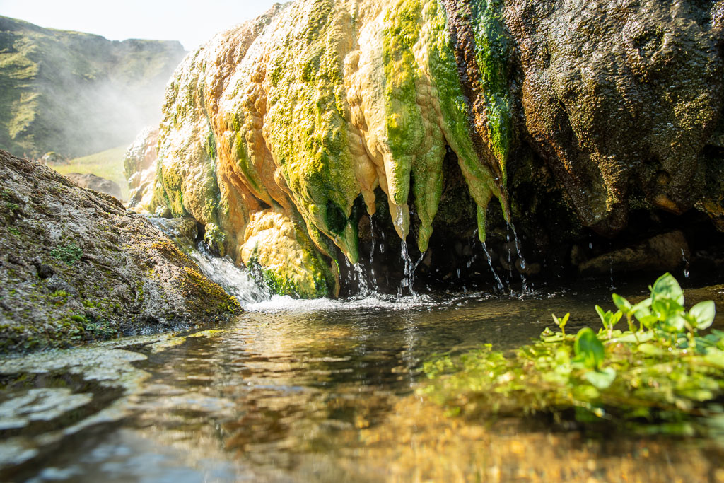 Pentax K-1 / 29 Pentax K-1   29