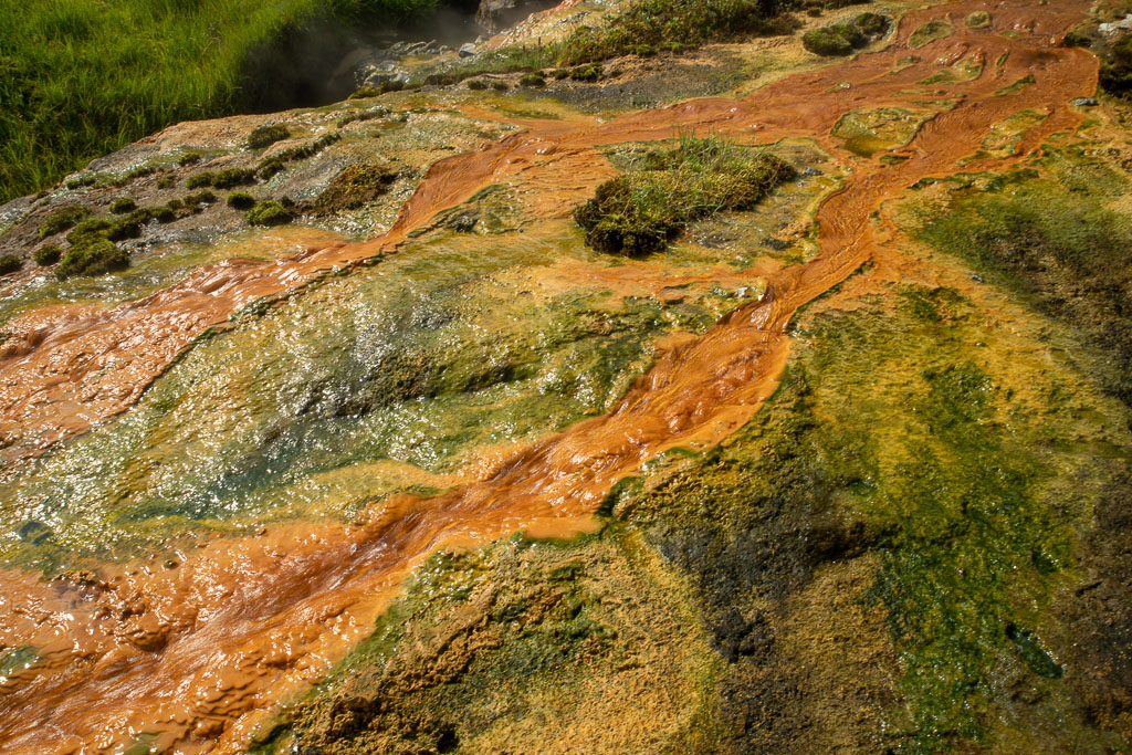 Pentax K-1 / 29 Pentax K-1   29