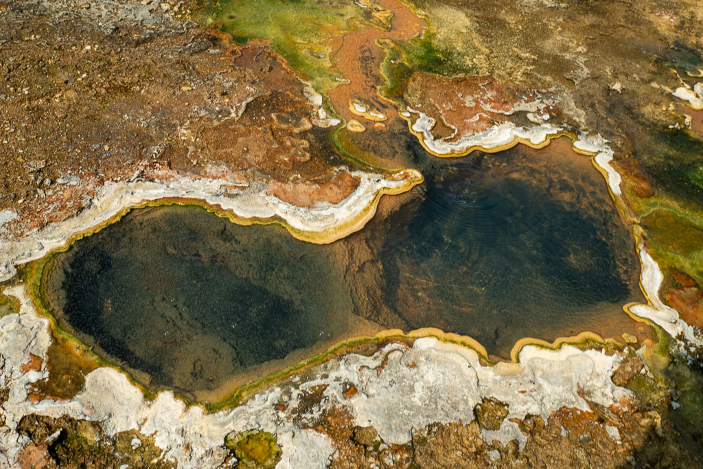 Pentax K-1 / 29 Pentax K-1   29