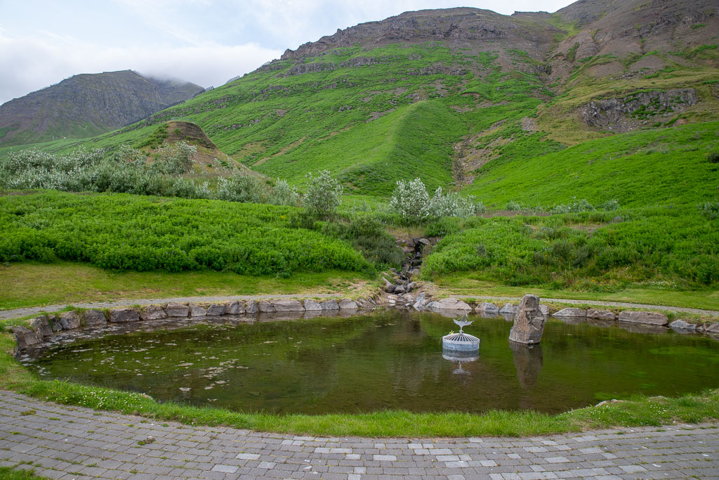 Pentax K-1 / 30 Pentax K-1   30