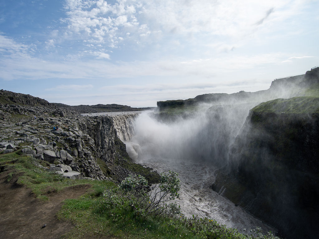 Pentax 645D / 1 Pentax 645D   1