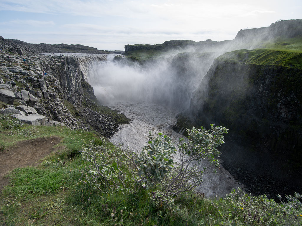 Pentax 645D / 1 Pentax 645D   1