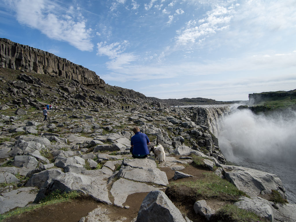 Pentax 645D / 1 Pentax 645D   1