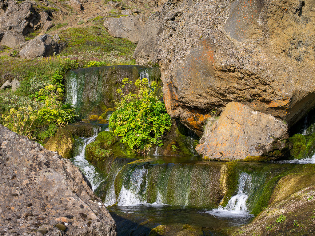 Pentax 645D / 20 Pentax 645D   20