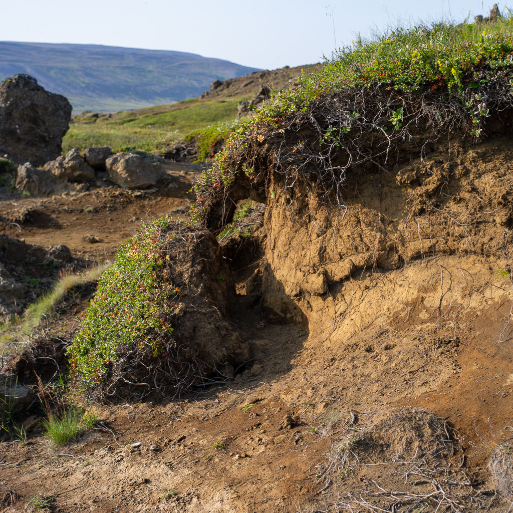 Pentax 645D / 20 Pentax 645D   20