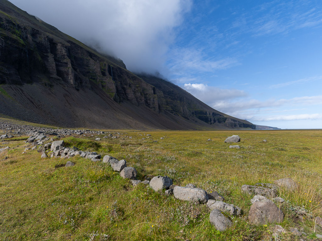 Pentax 645D / 31 Pentax 645D   31