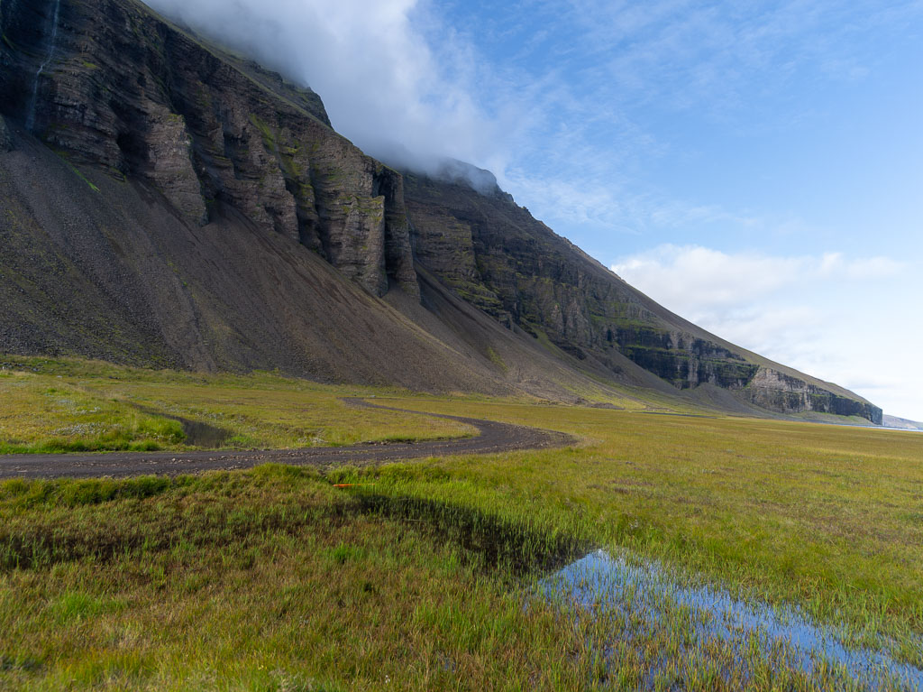 Pentax 645D / 31 Pentax 645D   31