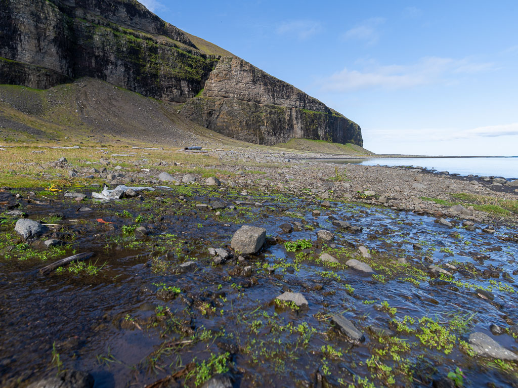 Pentax 645D / 31 Pentax 645D   31