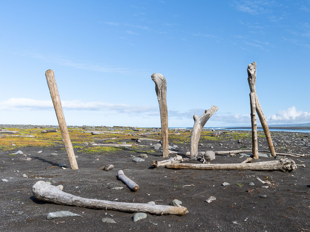 Pentax 645D / 31 Pentax 645D   31