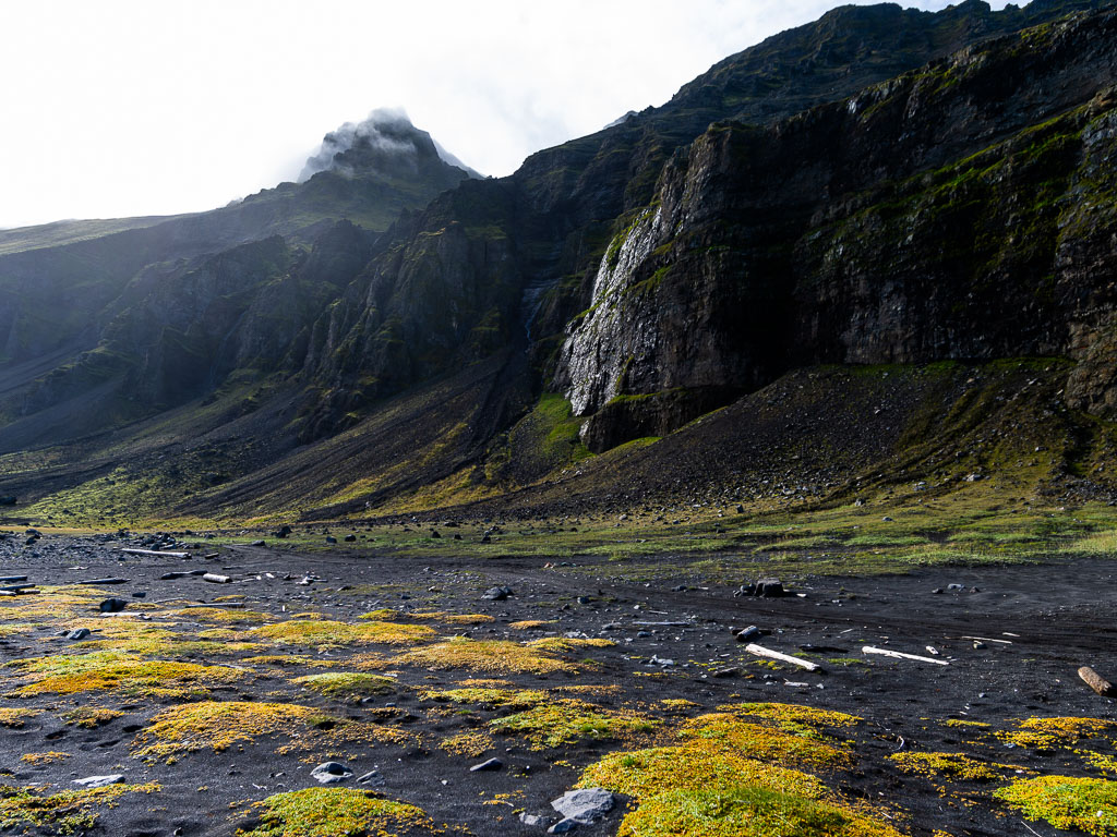 Pentax 645D / 31 Pentax 645D   31