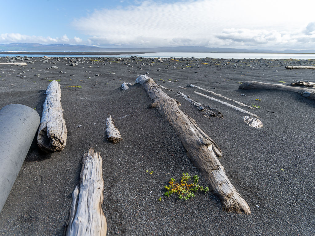 Pentax 645D / 31 Pentax 645D   31