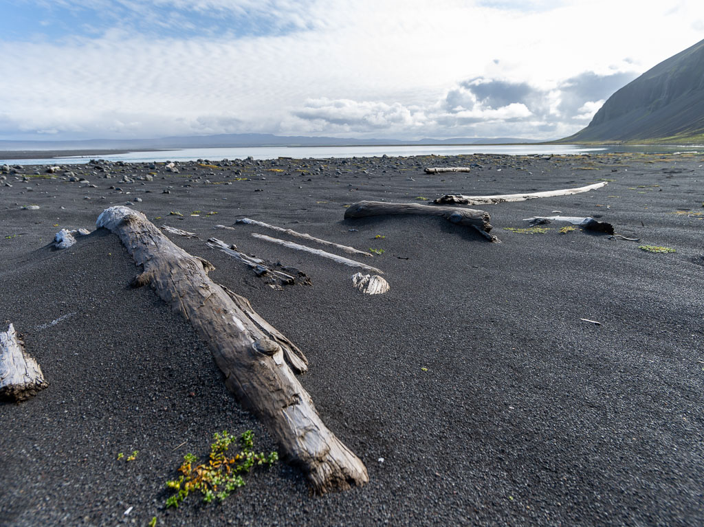 Pentax 645D / 31 Pentax 645D   31