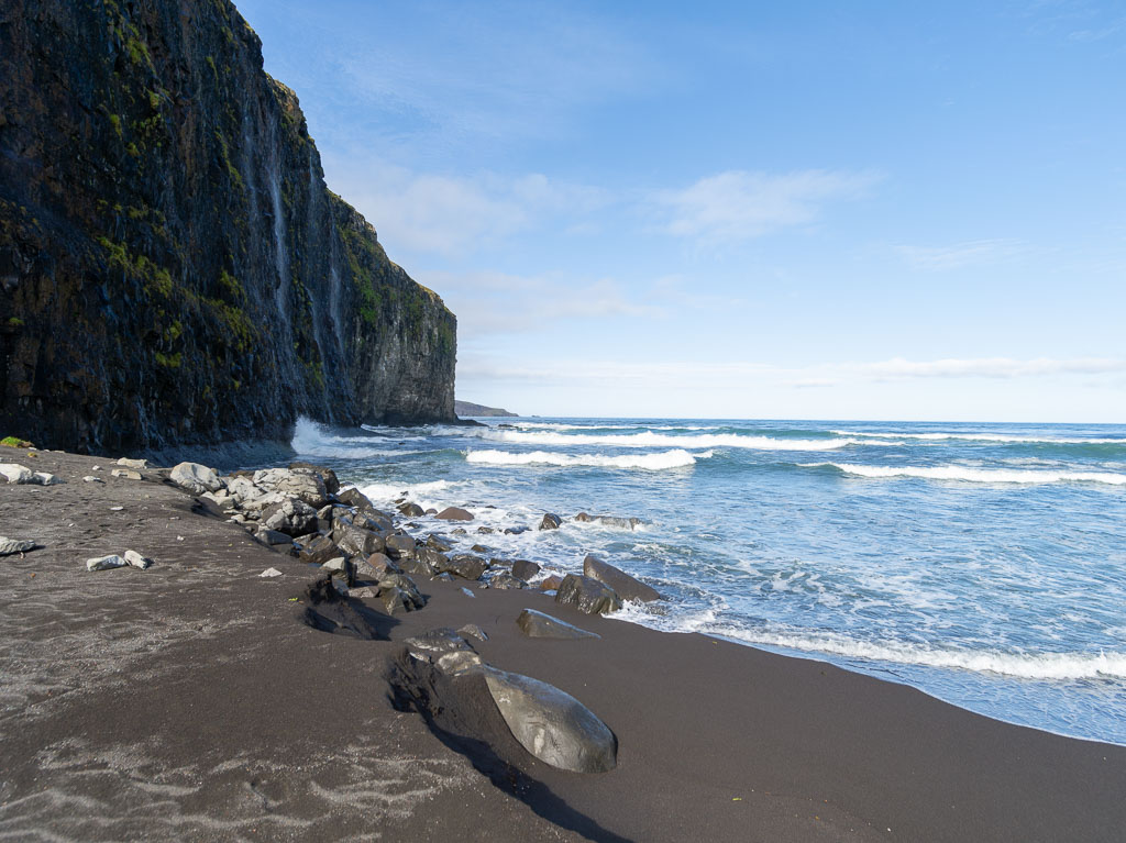 Pentax 645D / 31 Pentax 645D   31