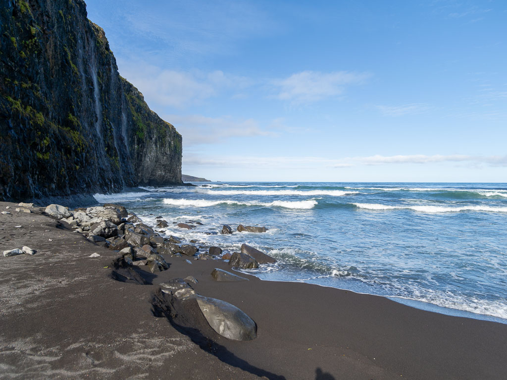 Pentax 645D / 31 Pentax 645D   31