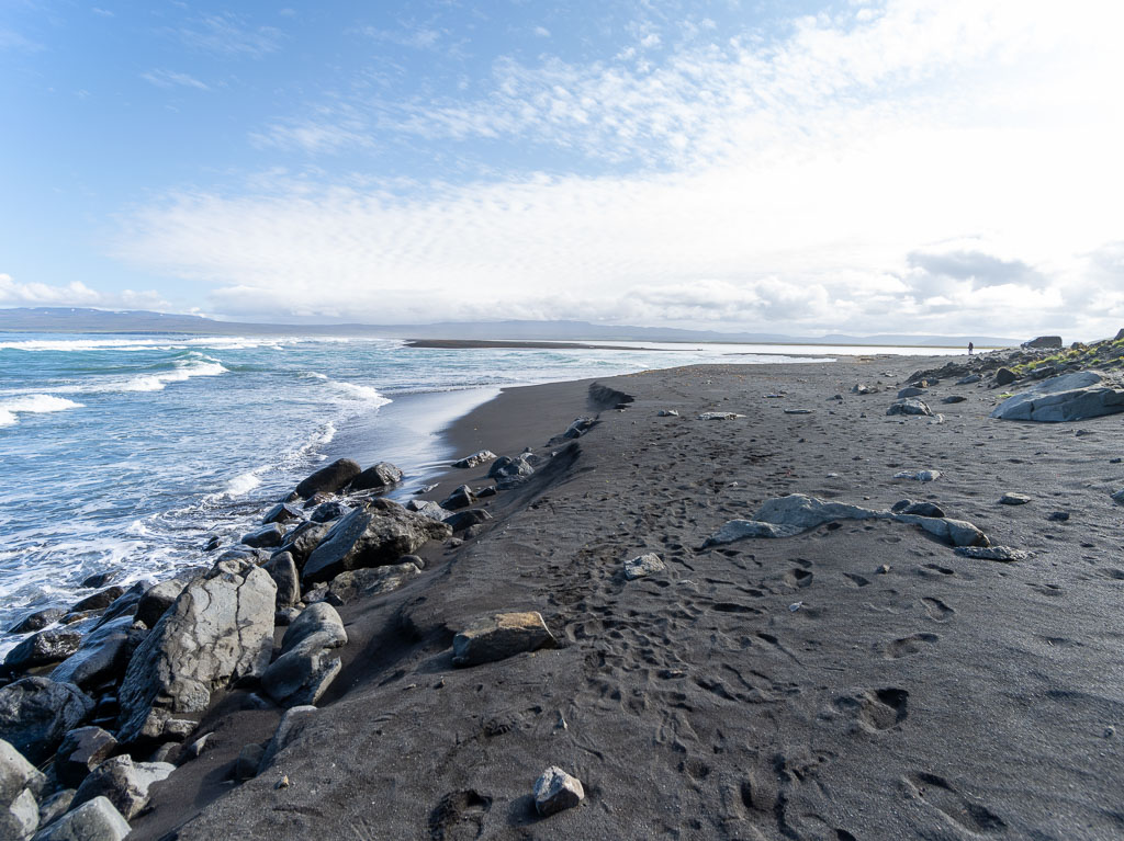 Pentax 645D / 31 Pentax 645D   31