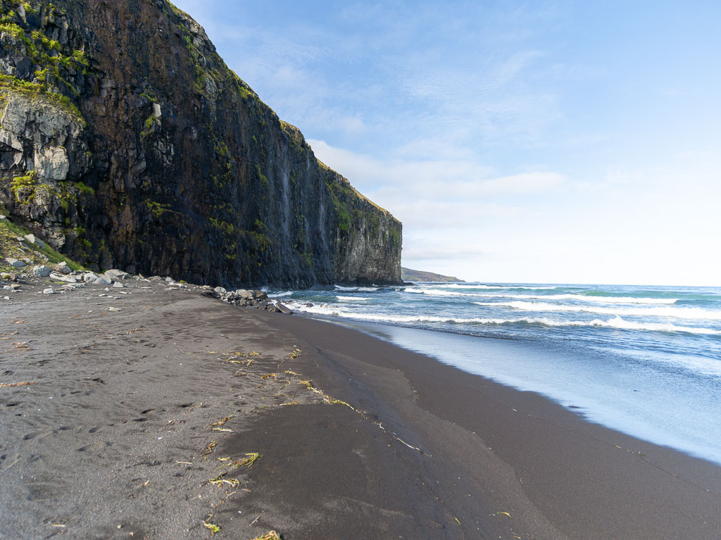 Pentax 645D / 31 Pentax 645D   31