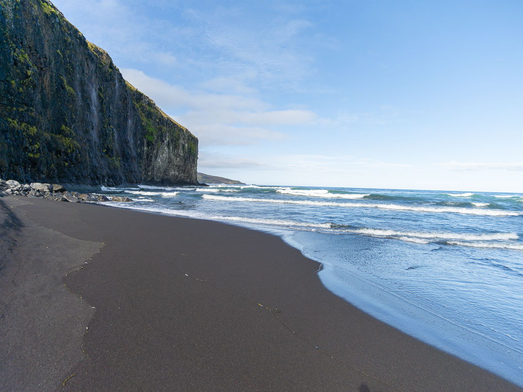 Pentax 645D / 31 Pentax 645D   31