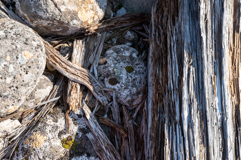 Pentax K-1 / 1 Pentax K-1   1