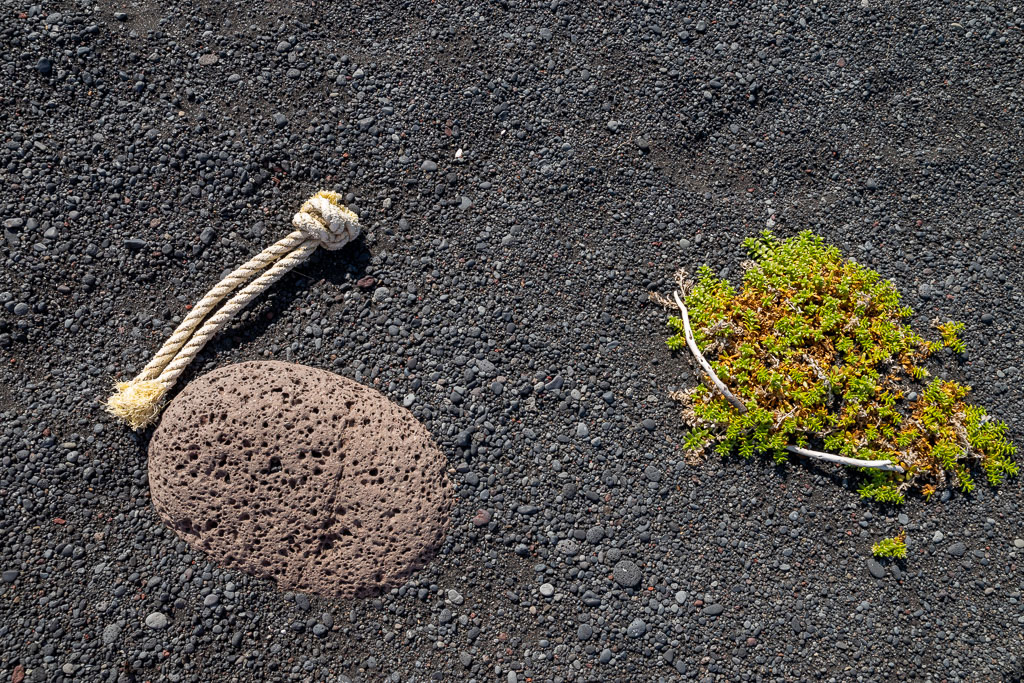 Pentax K-1 / 1 Pentax K-1   1