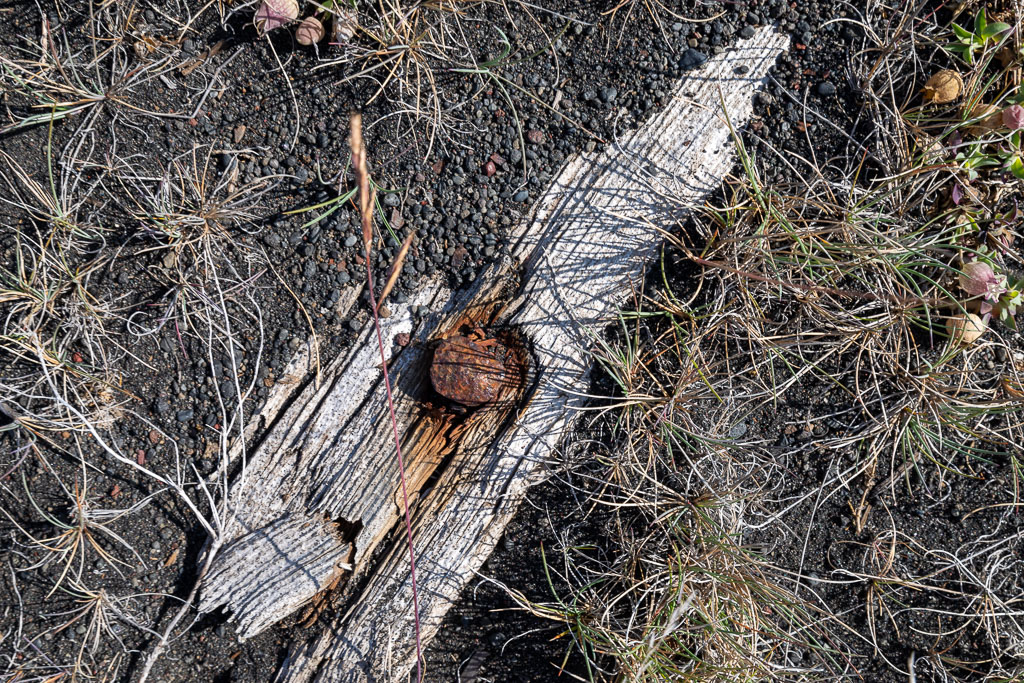 Pentax K-1 / 1 Pentax K-1   1