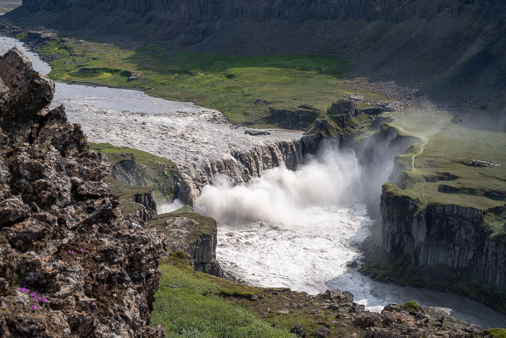 Pentax K-1 / 1 Pentax K-1   1