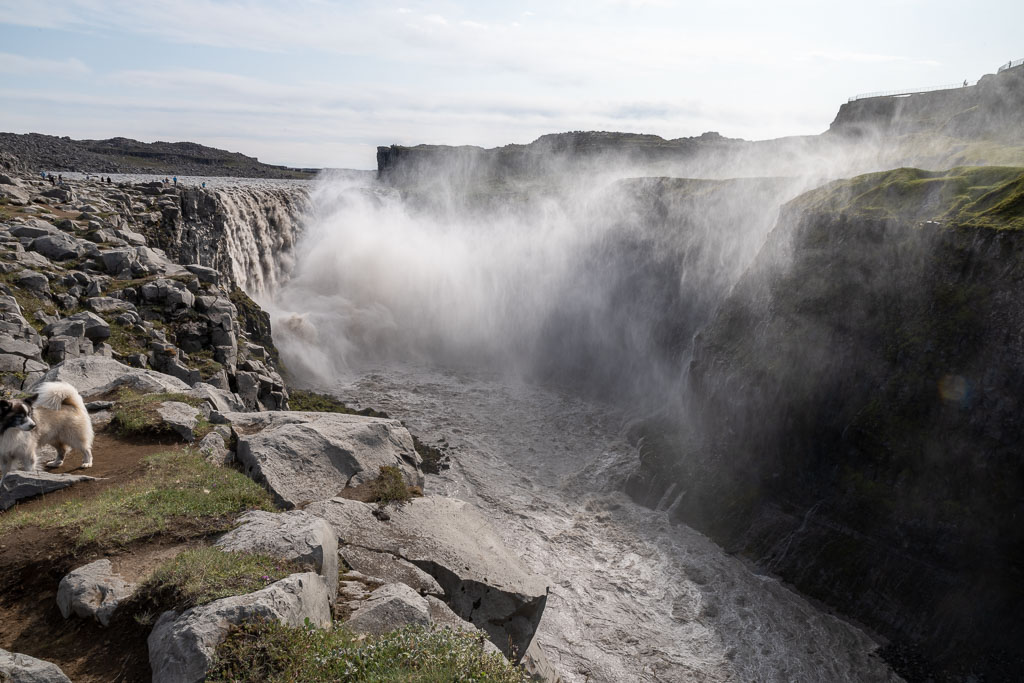 Pentax K-1 / 1 Pentax K-1   1