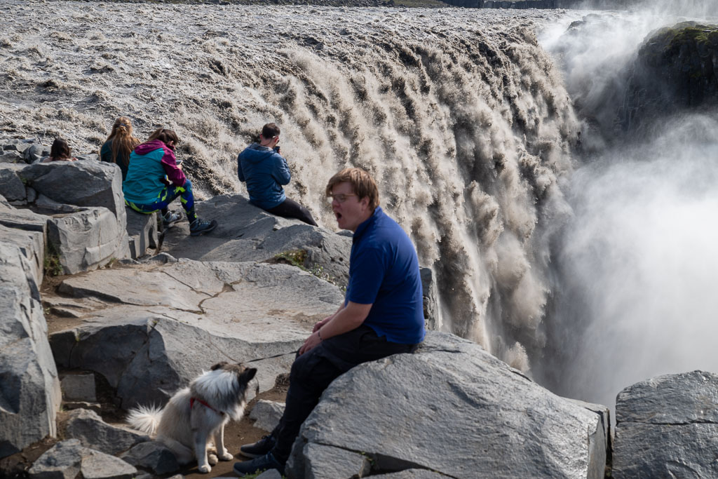 Pentax K-1 / 1 Pentax K-1   1