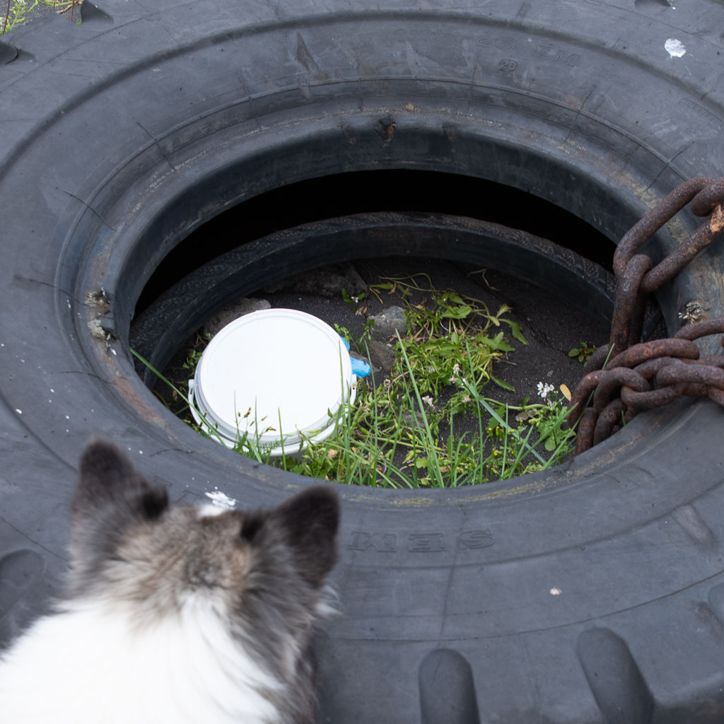 Pentax K-1 / 5 Pentax K-1   5