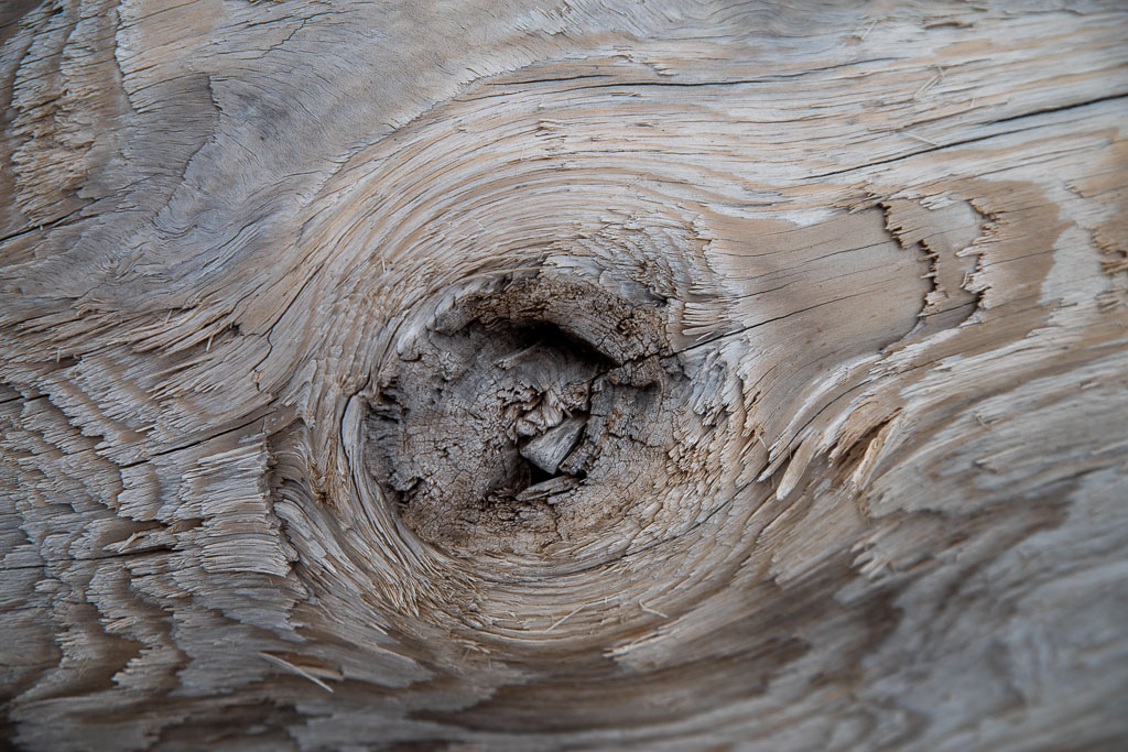 Pentax K-1 / 5 Pentax K-1   5