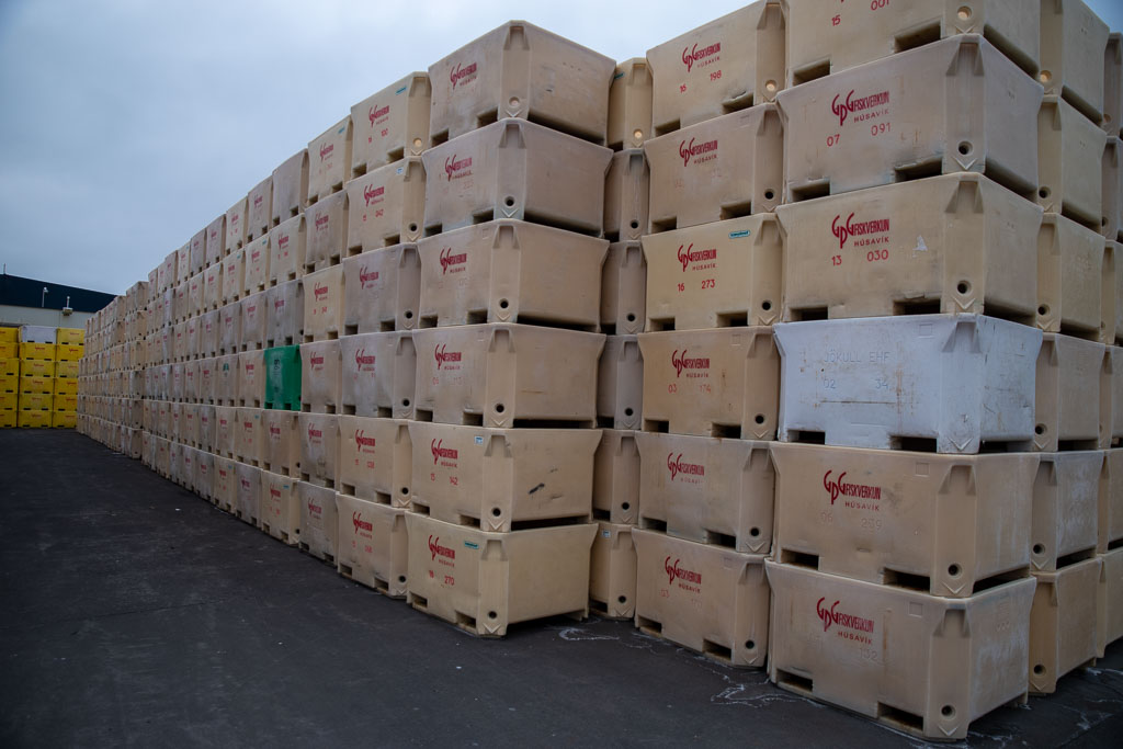 Pentax K-1 / 5 Pentax K-1   5