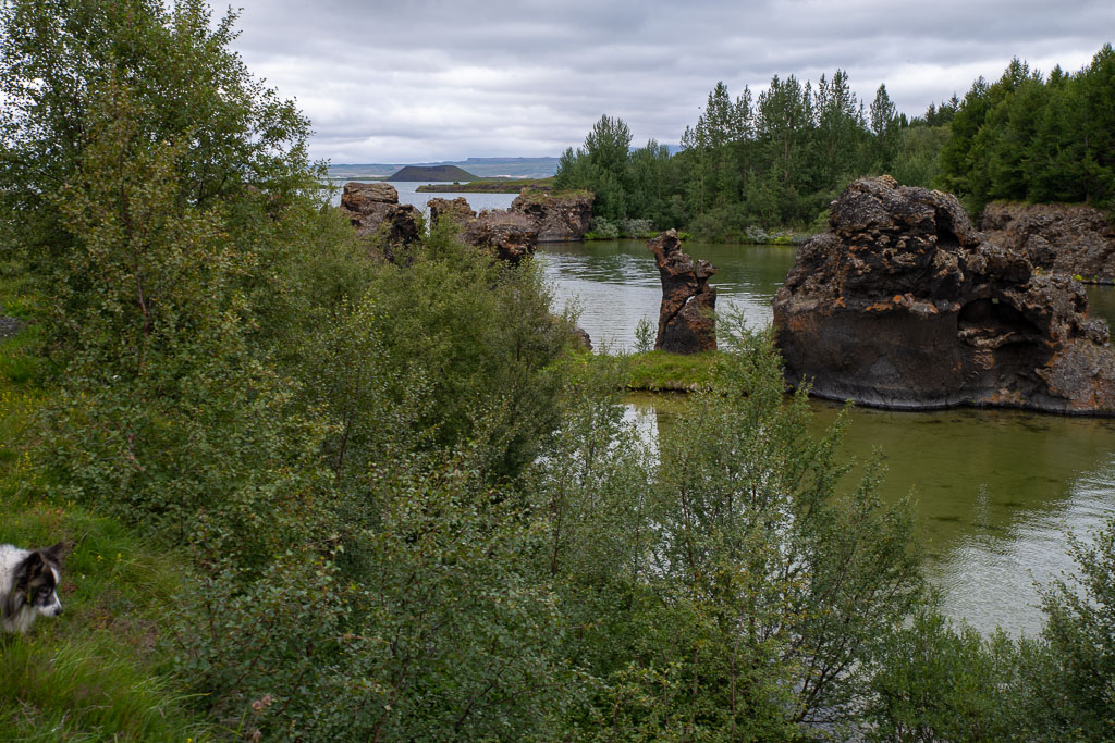 Pentax K-1 / 6 Pentax K-1   6