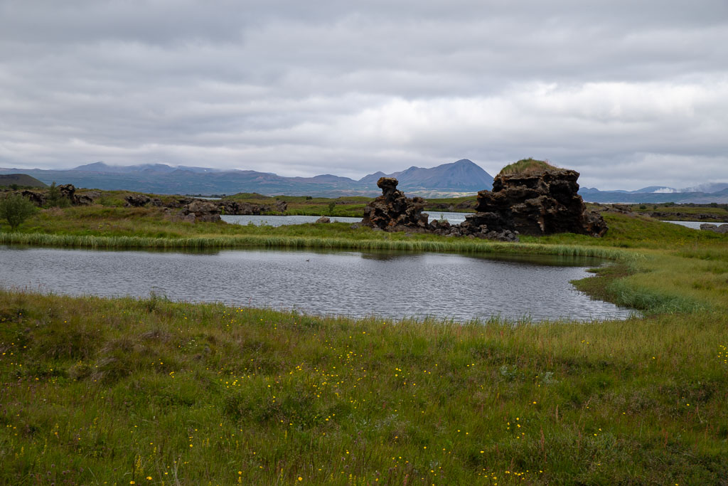 Pentax K-1 / 6 Pentax K-1   6