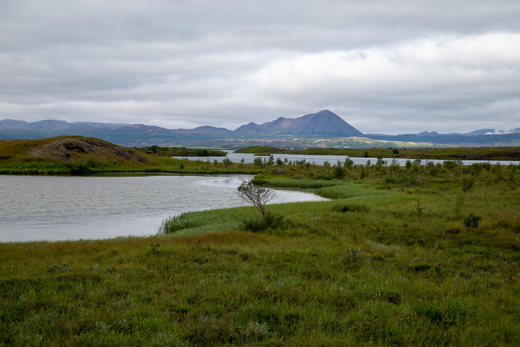 Pentax K-1 / 6 Pentax K-1   6